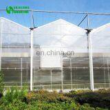 Multispan Tunnel Polycarbonate Panel Greenhouse for Agriculture thumbnail-5