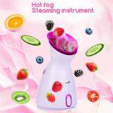 Usb Portable Rechargeable Mist Nano Facial Sprayer Nano Deep Moisturizing Handy Fine Facial Mist Sprayer thumbnail-2