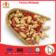 HIGH QUALITY PEANUT KERNELS BY JUNAN KAIBING thumbnail-4