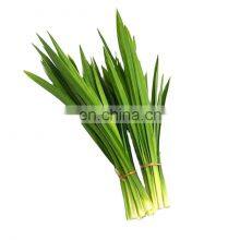 100% Natural Pandan Leaf/High Quality With Price Pandan Leaf From Vietnam thumbnail-1