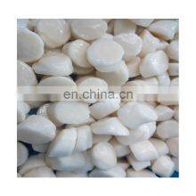 Good Taste Dried Scallop Meat for Sale thumbnail-4