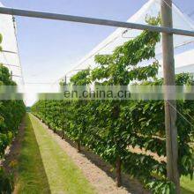 Anti UV Transparent PE Tarpaulin for Cherry Tree Protection Cover thumbnail-4