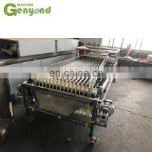 Custom Fresh Medjool Dates Sorting Machine for Vegetable and Fruit Sorter thumbnail-4