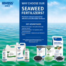 Qingdao Jingling Ocean Technology Co., Ltd. company overview - view 1 thumbnail