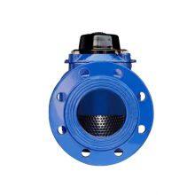 Manufacturer Direct Sales Cast Steel Water Meter Screw Wing Water Meter thumbnail-3