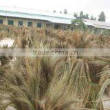 Tien Phuong Trading And Manufacturing Co., Ltd company overview - view 2 thumbnail