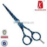 R4C Stainless Steel Professional Hair Scissors Salon Color Scissor Tools For Hairdressing