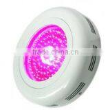 Hot-selling Full Spectrum LED Grow Light for Greenhouse Garden Growing, Grow Light LED