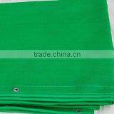 Building Protecting Screen