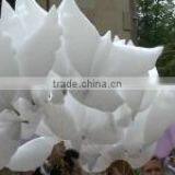 Biodegradable Bio Dove Balloons