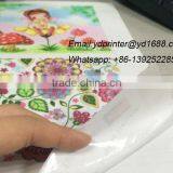 Digital Inkjet Pvc Sticker Printing Machine, Roll Wall Decal Paper Printing Machine Price thumbnail-5
