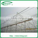 Commercial Greenhouse With Cooling System thumbnail-2