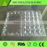 24 Holes Rectangular Clear Transparent Plastic Quail Egg Cartons thumbnail-6