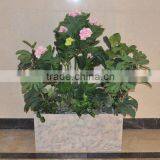 Restaurant Decoration Artificial Plants