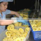 Gia Dat Trading Export - Import Joint Stock Company company overview - view 2 thumbnail