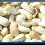 Safflower Seed thumbnail-1