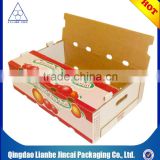 customized corrugated cardboard box for fresh fruit