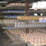 Fujian Dehua Rongxin Ceramic Co., Ltd. company overview - view 1 thumbnail