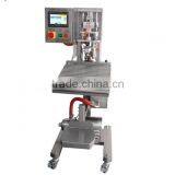 Automatic Plastic Bag Liquid Filling Sealing Machine