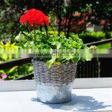 Willow and Iron Crossing Weave Basket thumbnail-2