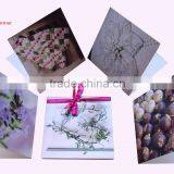 Greeting Card /birthday Greeting Cards/ Bulk Greeting Cards
