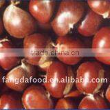 Water Washed Chestnut thumbnail-1