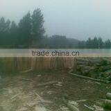 Automatic Wood Venner Peeling Lathe/veneer Rotary Peeling Lathe/plywood Core Venner Machine With High Efficiency thumbnail-4