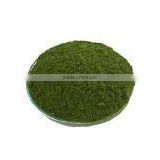 Moringa Leaf Powder supplier from india