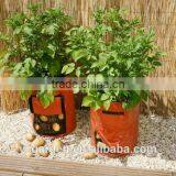 Cheap Vertical Flower Pouch With Many Holes Garden Baggrow Bag Holes Bottom Plant Bag thumbnail-5