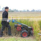 4G80 Walking Behind Pop Wheat Machine thumbnail-1