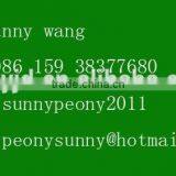 Environmental Friendly Professional Pyrolysis Plant Manufacture For Tyre ,Rubber And Plastic thumbnail-4