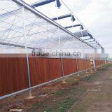 Factory Price Plastic Covered Commercial Greenhouses thumbnail-3