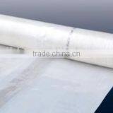 Hot Dipped Steel Pipe Structure Polyethylene Greenhouse PE Film Greenhouse thumbnail-2