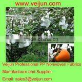 17GSM Dot PP Nonwoven With UV Resistant Material for Fruit Cover With SGS Certification