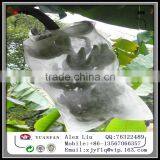 Non-woven Fruit Insect-resistant Bags, Nonwoven Bag of Banana ,Non Woven Bag of Grapes