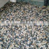 Colorful Polished River Pebble Mosic Patten Tile/Cobble thumbnail-1