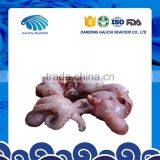 Frozen Baby Octopus Factory Reasonable Price With Delivery Faster thumbnail-1