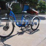 3 Wheel Electric Trike Electric Cargo Trike for Sale thumbnail-3