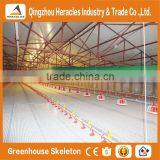 Heracles Trade Assurance Poultry Farm Equipment Automatic Broiler Feeding System thumbnail-1