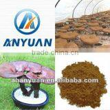 No Any Additives 100% Naturnal Ganoderma Extract thumbnail-1