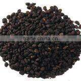 Babchi Seed thumbnail-1