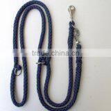 dog lead