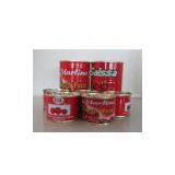 Tomato Paste Canned Food Export to Africa Mid-East thumbnail-1