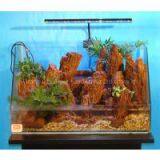 Aquascaping Decor Background Board thumbnail-1
