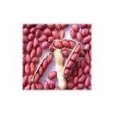 Red Skin Peanut Kernels