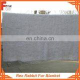 New Arrival Bright white Rex Rabbit Fur Blanket