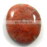 UTAH CORAL/CORAL GEMSTONE /CORAL GEMSTONE CABOCHON/WHOLESALE CORAL GEMSTONE thumbnail-1