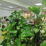 Shanghai Richem Envirotec Co.,ltd. company overview - view 1 thumbnail