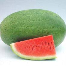 Big Pearl Planting Watermelon Hybrid f1 Seed for Sale thumbnail-1