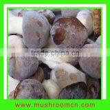 IQF Black Porcini Mushroom thumbnail-1
